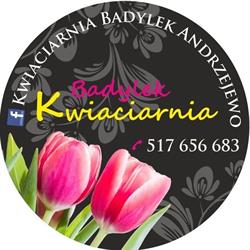 Kwiaciarnia BADYLEK, Andrzejewo godziny otwarcia