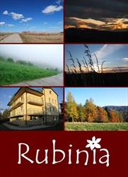 Willa Rubinia, Iwonicz-Zdrój godziny otwarcia