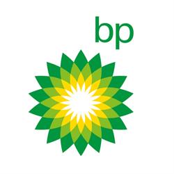 Stacja paliw bp, Borzęcin godziny otwarcia