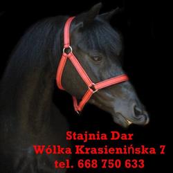 Stajnia Dar, Wólka Krasienińska godziny otwarcia
