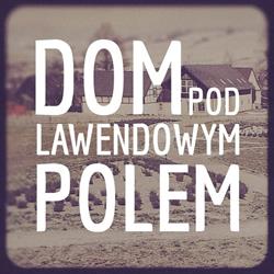 Dom pod Lawendowym Polem, Wolibórz godziny otwarcia