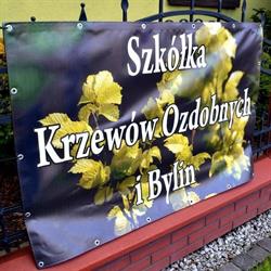 Szkółka Krzewów Ozdobnych i Bylin Orzesze, godziny otwarcia