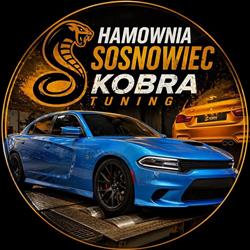 Hamownia Sosnowiec, godziny otwarcia
