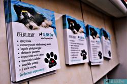 Albin Dog - Salon Pielęgnacji Psów, Włocławek godziny otwarcia
