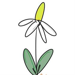 Meta-flora Kwiaciarnia Baboszewo, godziny otwarcia