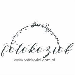 Fotokozioł - Fotografia i Wideofilmowanie, Mszana Dolna godziny otwarcia