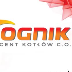 OGNIK Producent Kotłów c.o Ryszard Lipnicki, Wieprz godziny otwarcia