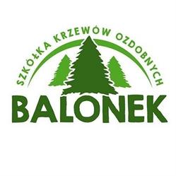 Szkółka Krzewów Ozdobnych Balonek, Spytkowice godziny otwarcia