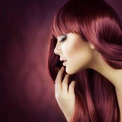 Salon Fryzjersko Kosmetyczny Alicja, Sulejów godziny otwarcia