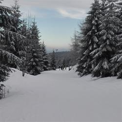 Pokoje Gościnne PRZY LESIE, Pobiedna godziny otwarcia