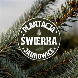 Plantacja choinek - Drzewka Iglaste, Jankowice godziny otwarcia