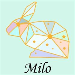 Milo Handmade, Wejherowo godziny otwarcia