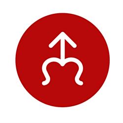 Dominikanie we Wrocławiu - kaplica bł. Czesława, godziny otwarcia