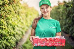 Legsad Fruit Farm, Kościelec godziny otwarcia
