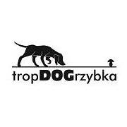 TropDoGrzybka, Jastrzębie-Zdrój godziny otwarcia