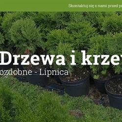 Szkółka drzew i krzewów ozdobnych - Nowosad, Lipnica godziny otwarcia
