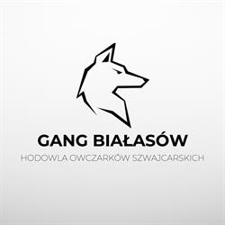 Hodowla Owczarków Szwajcarskich FCI - Monika Jeschke, Raciąż godziny otwarcia
