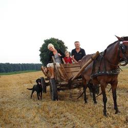Agroturystyka L.M Roszczka Sauna i Balia, Zwola godziny otwarcia