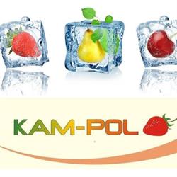 PPHU "KAM-POL" Import-Export, Nasielsk godziny otwarcia