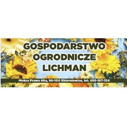 Gospodarstwo Ogrodnicze Lichman, Skierniewice godziny otwarcia