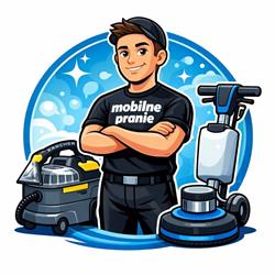 Mobilne Pranie Tapicerki, Dywanów, Mebli Tapicerowanych "Clean House/Car Lewandowski", Włocławek godziny otwarcia