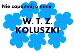 Warsztat Terapii Zajęciowej w Koluszkach, Koluszki godziny otwarcia