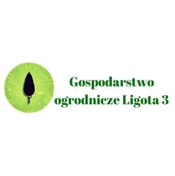Gospodarstwo ogrodnicze Ligota 3, godziny otwarcia