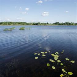 Agroturystyka Golubie, Kalinowo godziny otwarcia