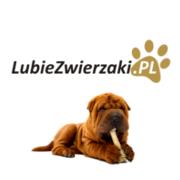 Hurtownia zoologiczna LubieZwierzaki.pl, Radom godziny otwarcia
