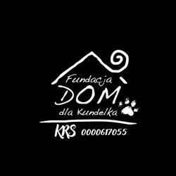 Fundacja Dom dla Kundelka, Poddębice godziny otwarcia