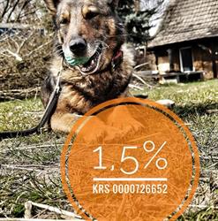 Konie I Psy Stowarzyszenia ZAKĄTEK WETERANÓW, Nekla godziny otwarcia