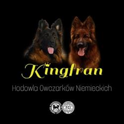 Hodowla Owczarków Niemieckich Kingfran, Kozy godziny otwarcia
