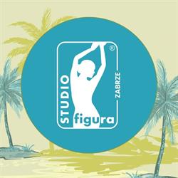 Studio Figura Zabrze - Modelowanie ciała, Indywidualny dobór diety, godziny otwarcia