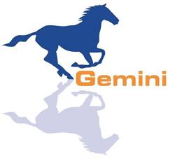 P.P. Gemini, Tomaszowice godziny otwarcia