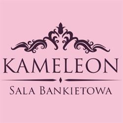 Kameleon - sala bankietowa, Łodygowice godziny otwarcia