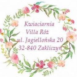 Kwiaciarnia Villa Róż, Zakliczyn godziny otwarcia