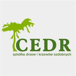 CEDR, Breń Osuchowski godziny otwarcia