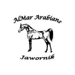 Almar Arabians, Jawornik godziny otwarcia