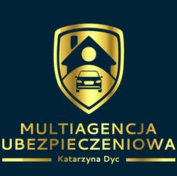 Ubezpieczenia ,rejestracja pojazdów Gniezno, godziny otwarcia