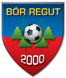 Boisko w Regucie RKS Bór Regut, godziny otwarcia