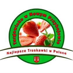 Targowisko Gminne, Nowe Przybojewo godziny otwarcia