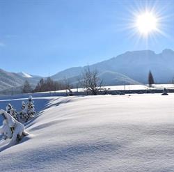 Fiedorówka, Zakopane godziny otwarcia