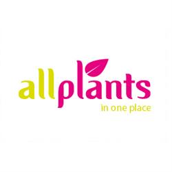 ALLPLANTS, Płoszewo godziny otwarcia