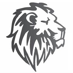 Lion's Garage - Professional Auto Detailing Studio, Łazy godziny otwarcia