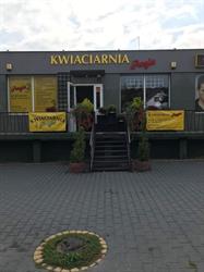 Kwiaciarnia "Pasja" Brody, godziny otwarcia
