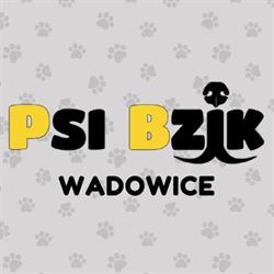 Psi Bzik, Wadowice godziny otwarcia