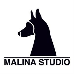 Malina Studio, Oleśnica godziny otwarcia