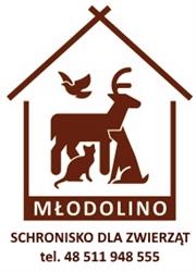 Schronisko dla Zwierząt Młodolino, godziny otwarcia