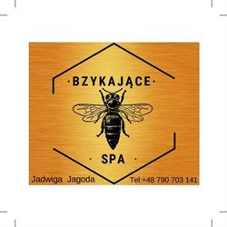 Bzykające Spa, Chocianowice godziny otwarcia