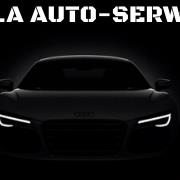 O.S.A AUTO-SERWIS, Wyżnica-Kolonia godziny otwarcia